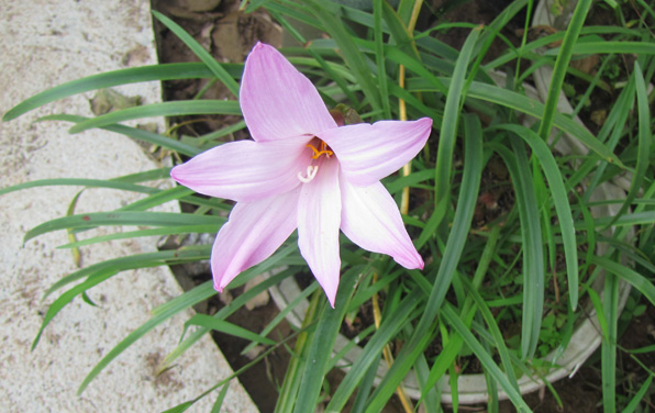 [image%255B34%255D.png]