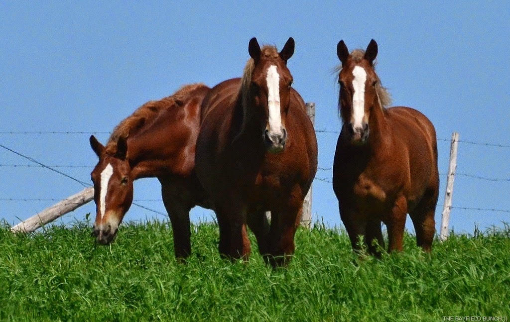 [DSC_0032-003%255B6%255D.jpg]