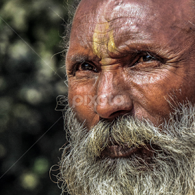 Sadhu baba Portrait  by Sumit Kar - People Street & Candids