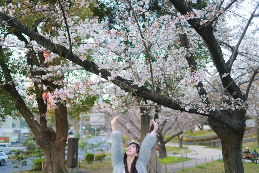 [Patreon] 쏘블리 (@leeesovely) Sakura Part1