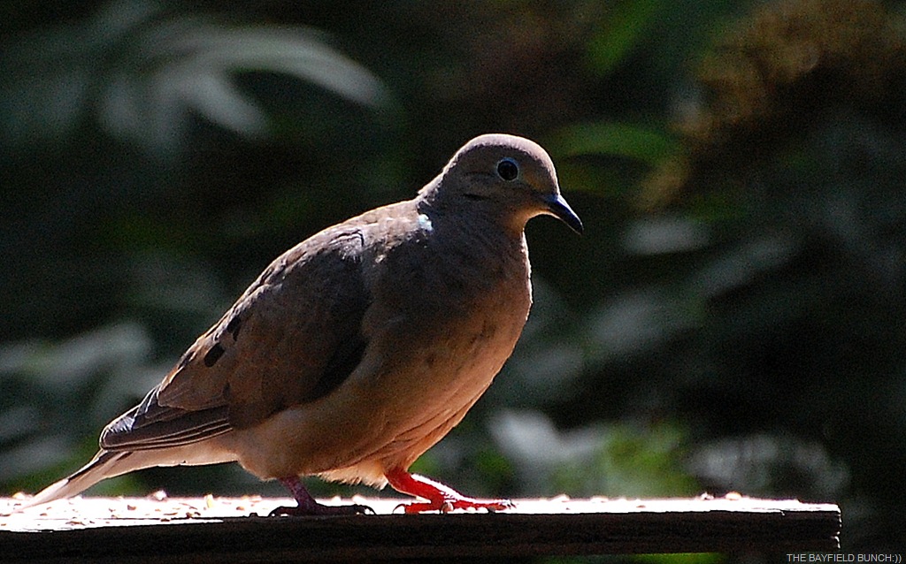 [DSC_6922%255B9%255D.jpg]