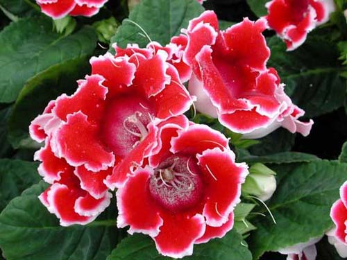 [image%255B37%255D.png]