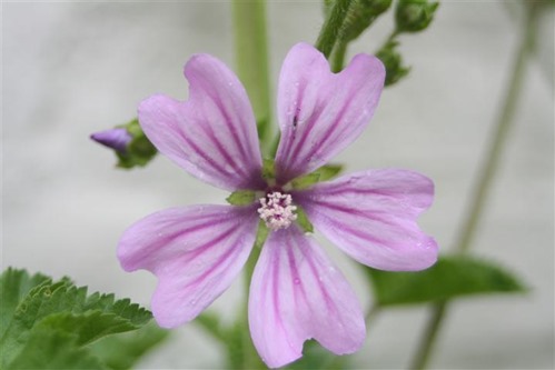 20100609 (3) (Small)