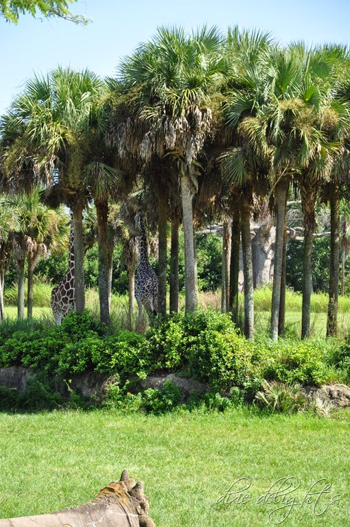 [DSC_0226%255B3%255D.jpg]