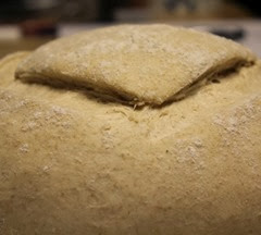 spelt-country-french-bread_121