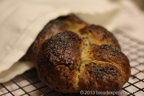 [braided-poppy-seed-bread0381%255B2%255D.jpg]