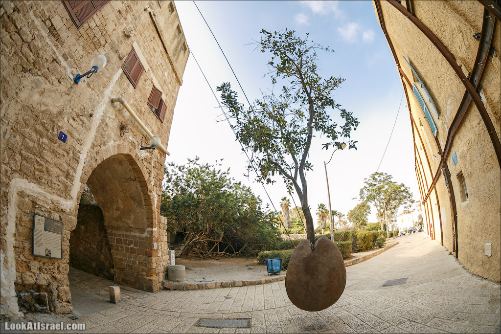 Подвешенный апельсин в Яффо