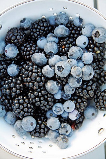 [First%2520Blackberry%2520Harvest%2520at%2520A%2520Country%2520Farmhouse%255B7%255D.jpg]