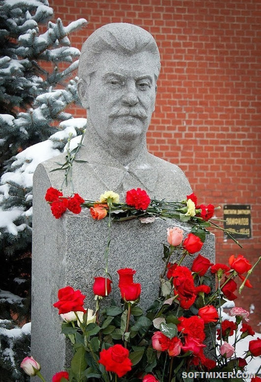 Stalin_flower