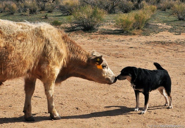 [DSC_0089_thumb%255B2%255D%255B2%255D.jpg]