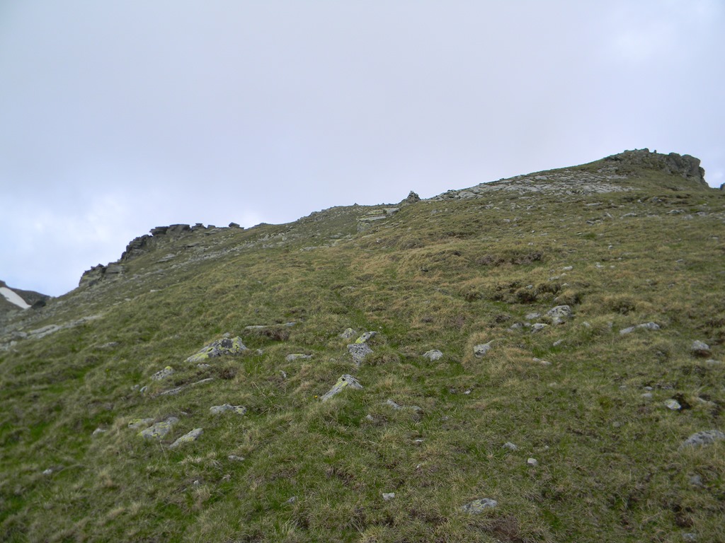 [DSCN14233.jpg]
