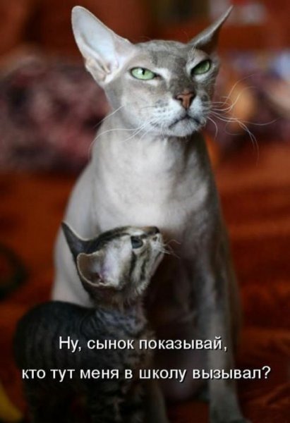 [1248340737_podpisi_24%255B3%255D.jpg]