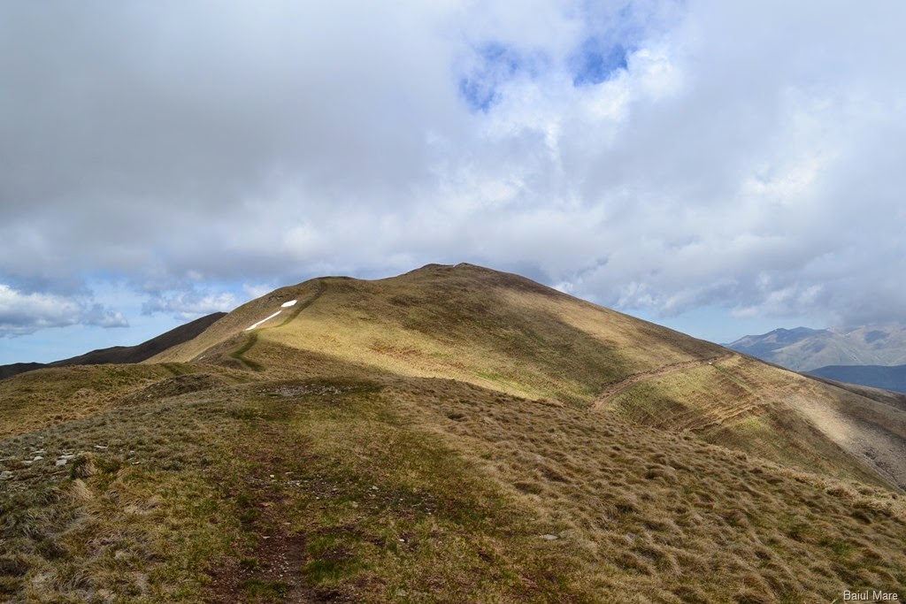 [DSC_95393.jpg]