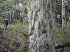 DSCN5400.JPG