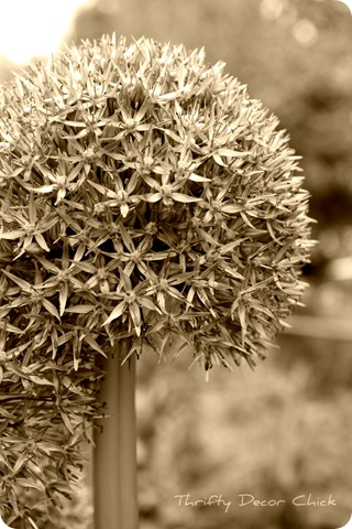 [image%255B54%255D.png]