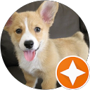 Анна Курбатова profile picture