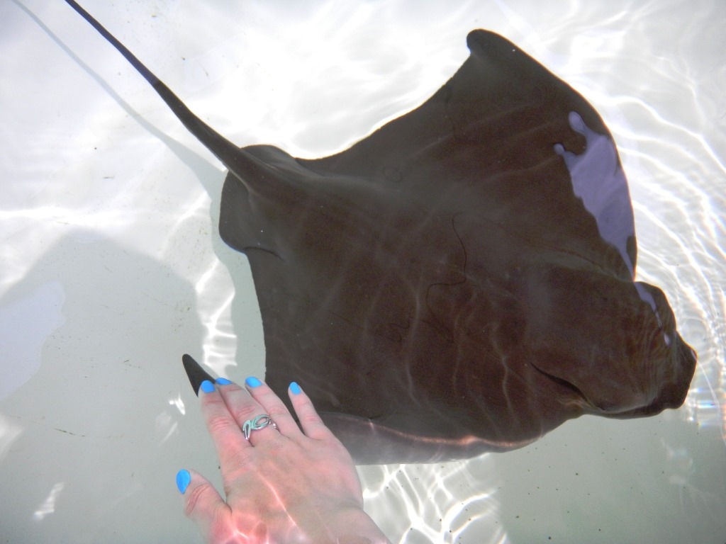 [DSCN4465%2520-%2520Kopie%255B4%255D.jpg]