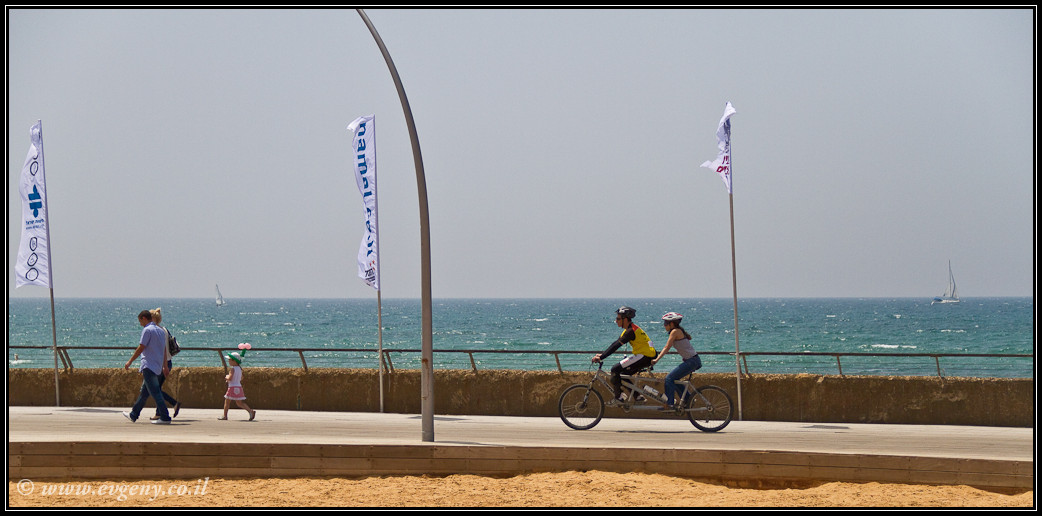 LookAtIsrael.com: Дома изнутри: ...и еще вопрос кто из нас неполноценен... (foto israel фото тель авив порт дома изнутри )