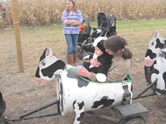 10.29.11 Cousins halloween get together Jenna Leah and Holly in the cow