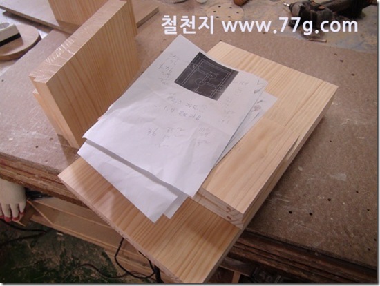 77gDSC02995-20130308-143229