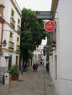 IMG_2259 IMG_2259