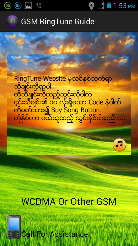 GSM Ring Tune Guide - screenshot
