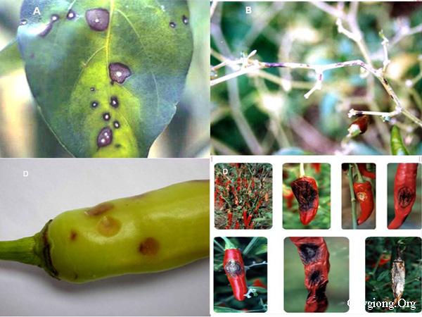 [image%255B3%255D.png]