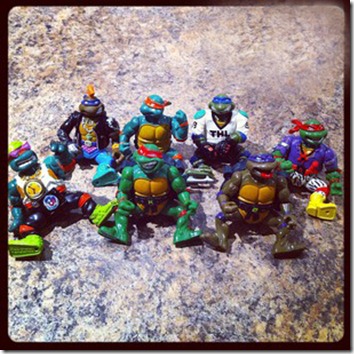 turtles turtles