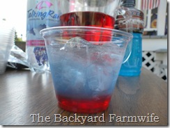 The Backyard Farmwife- 4th of July treats