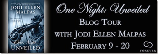 One-Night-Unveiled-Blog-Tour