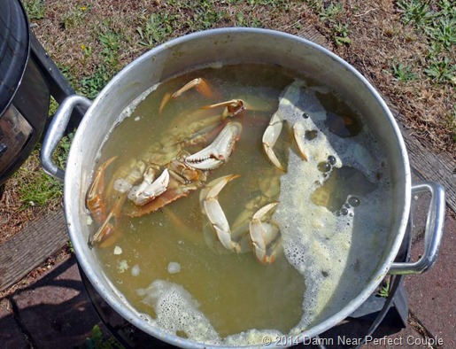 Crabs in Pot