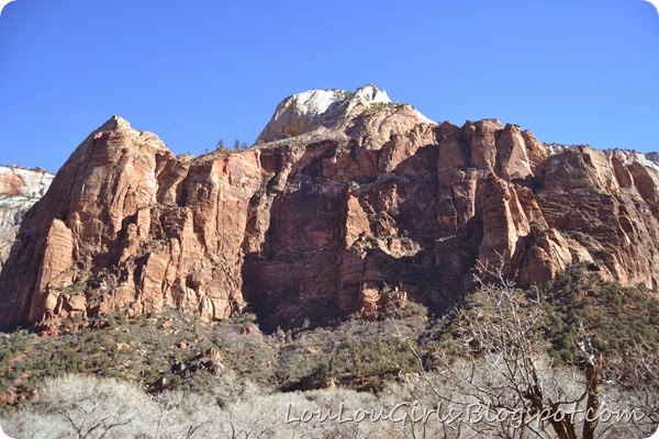 Fun-hikes-for-families-in-southern-utah (3)