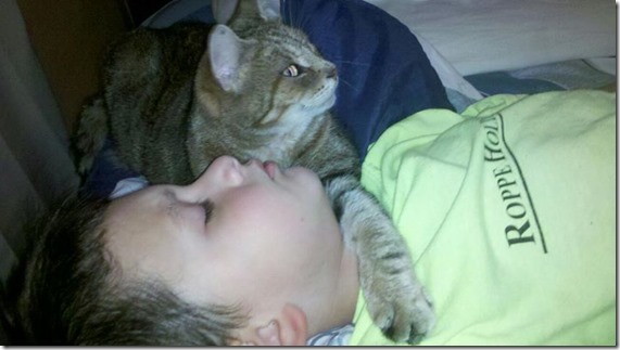 Jakobi sleeping with the cat