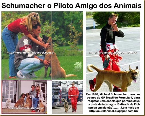 Schumacher_Piloto_Animais