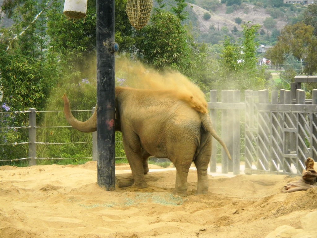 [DSCN5504%2520-%2520Kopie%255B4%255D.jpg]