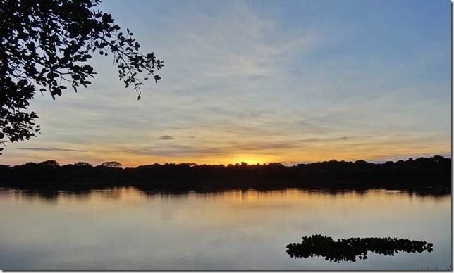 Pantanal_DSC08559