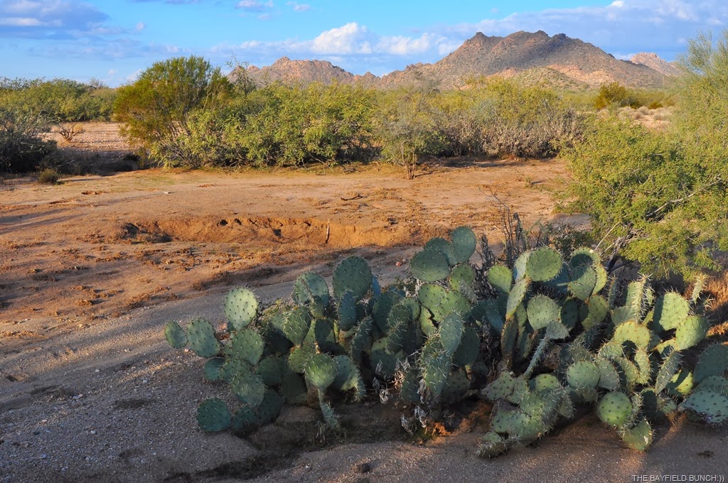 [DSC_0003%255B3%255D.jpg]