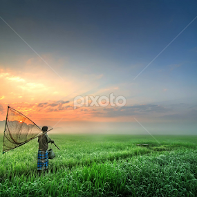 Morning Mist by Ariful Islam - Landscapes Sunsets & Sunrises