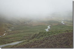 goat road and mist--maybe going over one of the passes