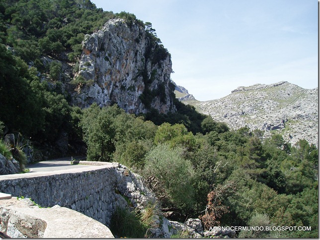 5-Camino a Sa Calobra - P4160126