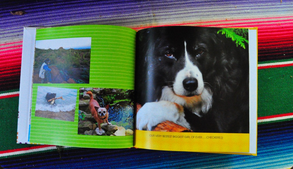 [DSC_0043%255B3%255D.jpg]