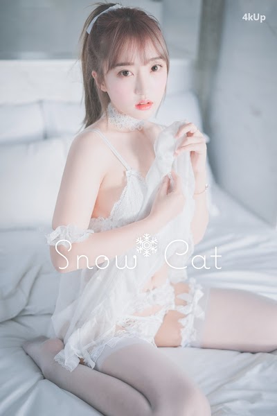 DJAWA Photo – HaNari (하나리) Snow Cat