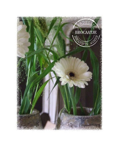 [20110803_5%255B4%255D.jpg]