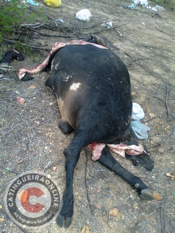 [18042012274%255B2%255D.jpg"]