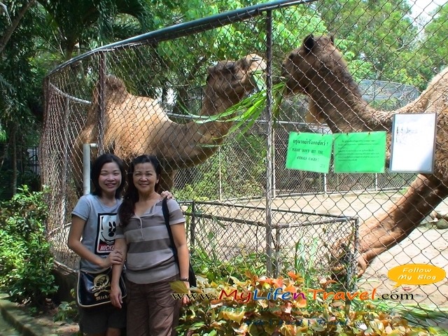 Thailand Phuket Zoo 06