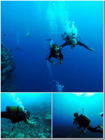 0330 Tahiti Diving