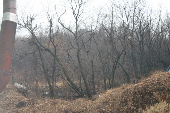 [IMG_5557-20111128-1817253.jpg]