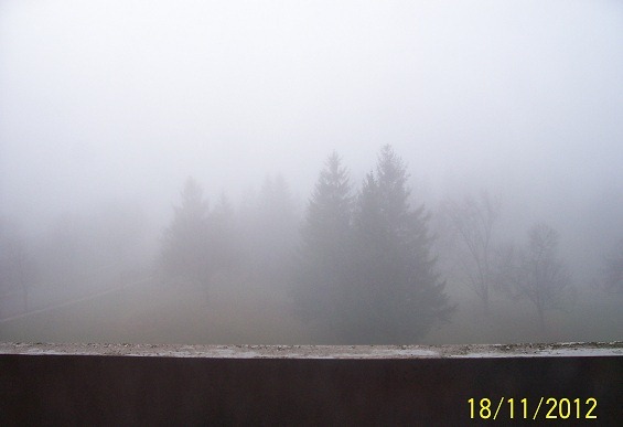 [Fog-0014.jpg]