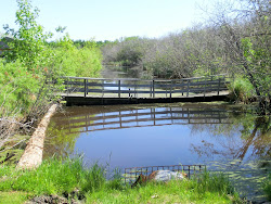 2013-06-17 Hecla Island - 080