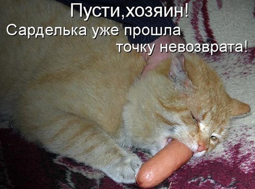 [kotomatrix_00065%255B3%255D.jpg]